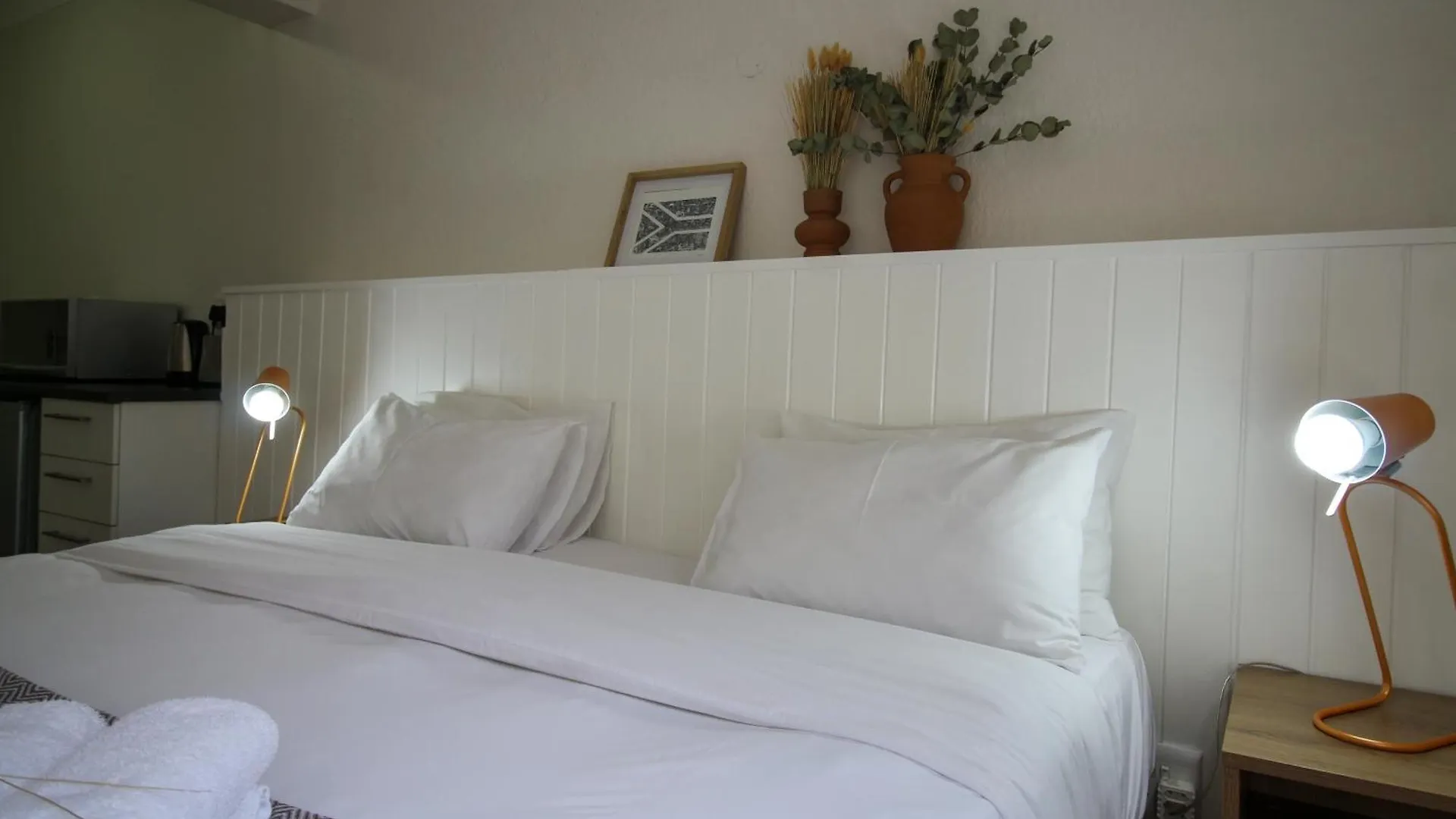 Hostel Curiocity Kloof Street Cape Town