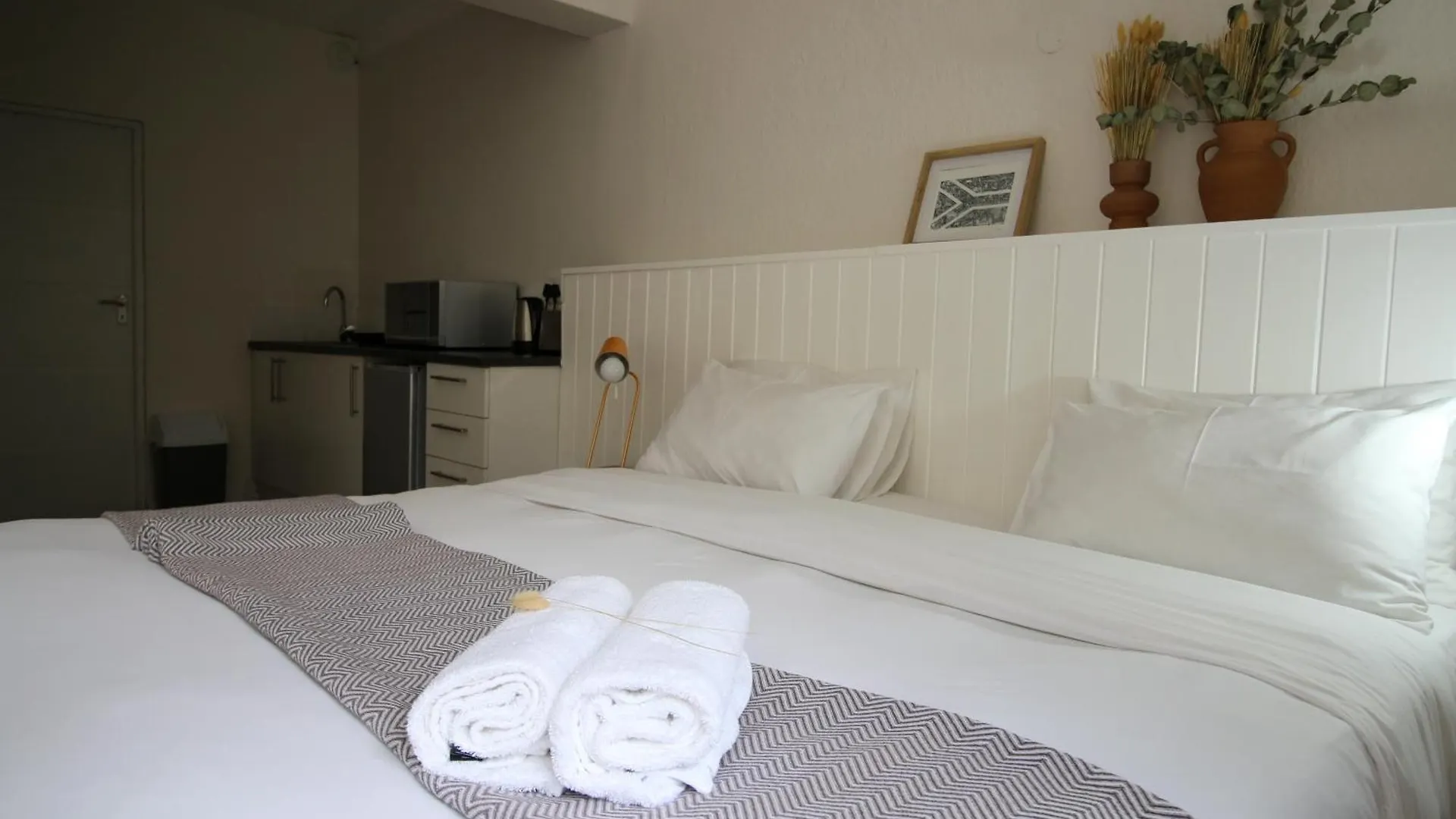 Curiocity Kloof Street Cape Town Hostel