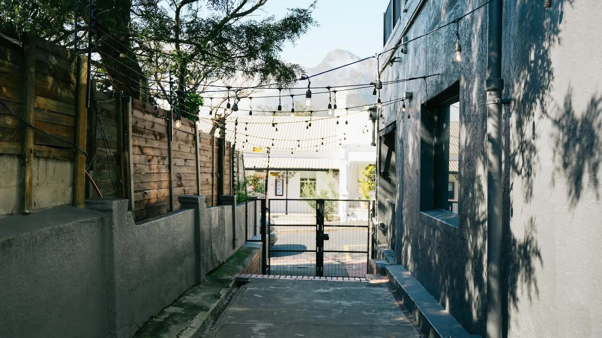 Hostel Curiocity Kloof Street Cape Town