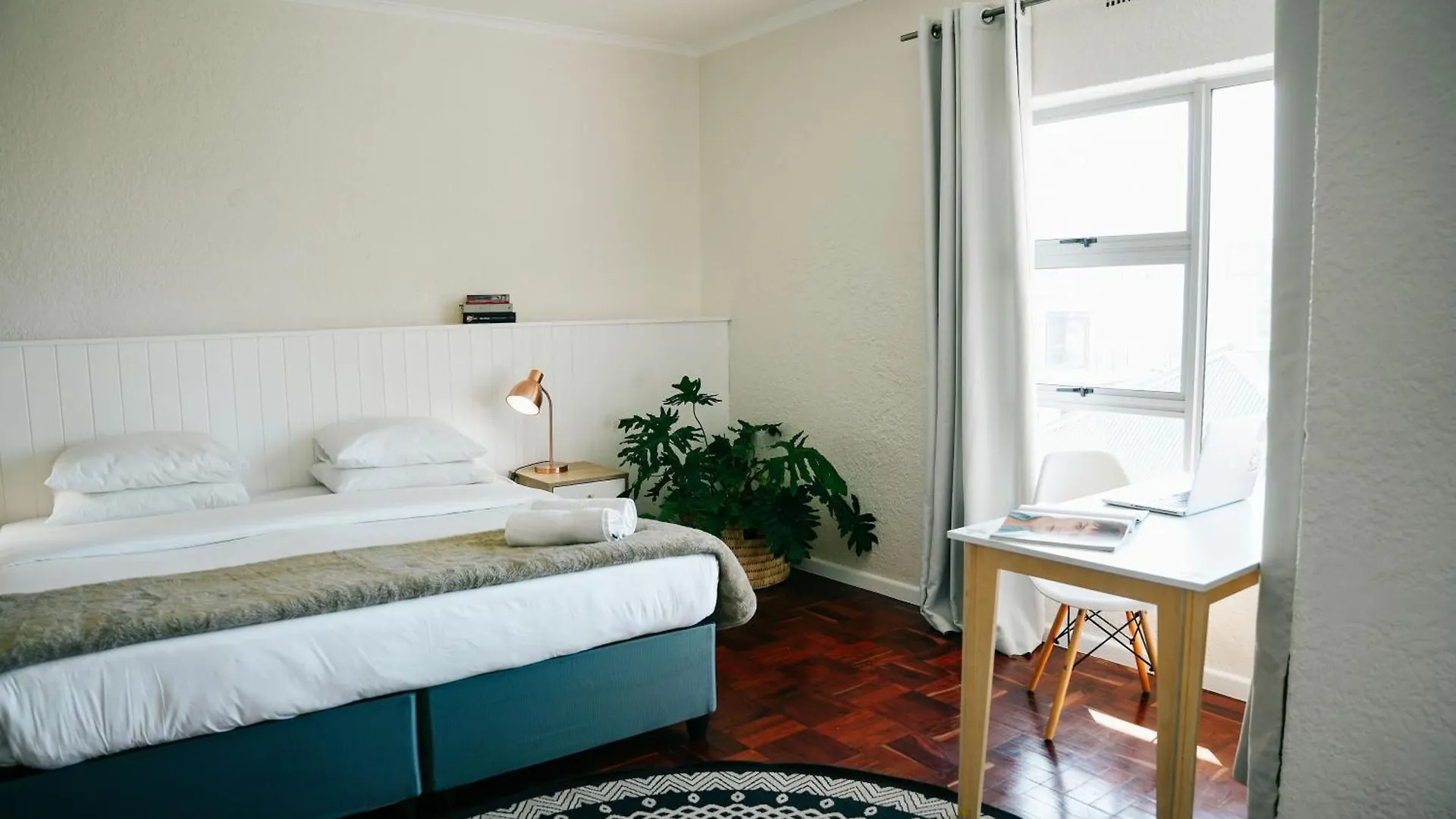 Hostel Curiocity Kloof Street Cape Town South Africa