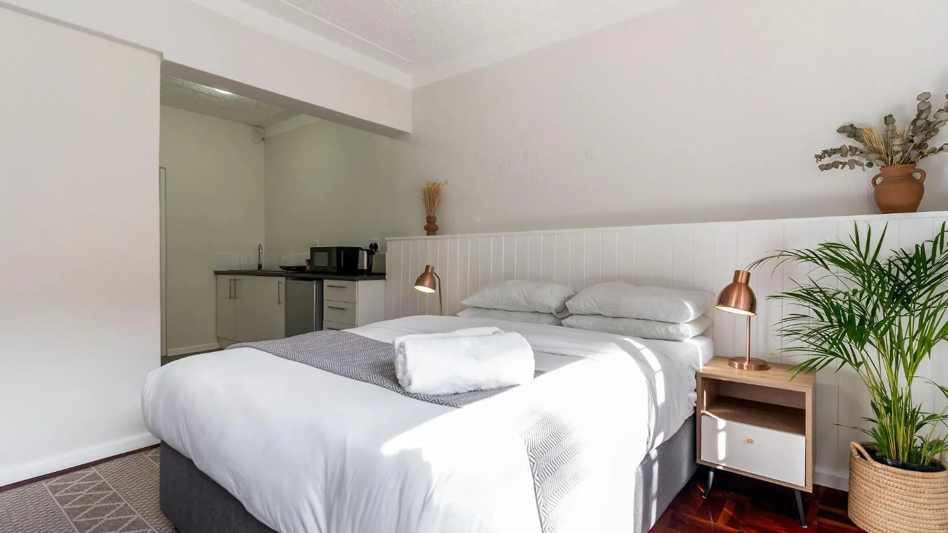 Curiocity Kloof Street Cape Town Hostel