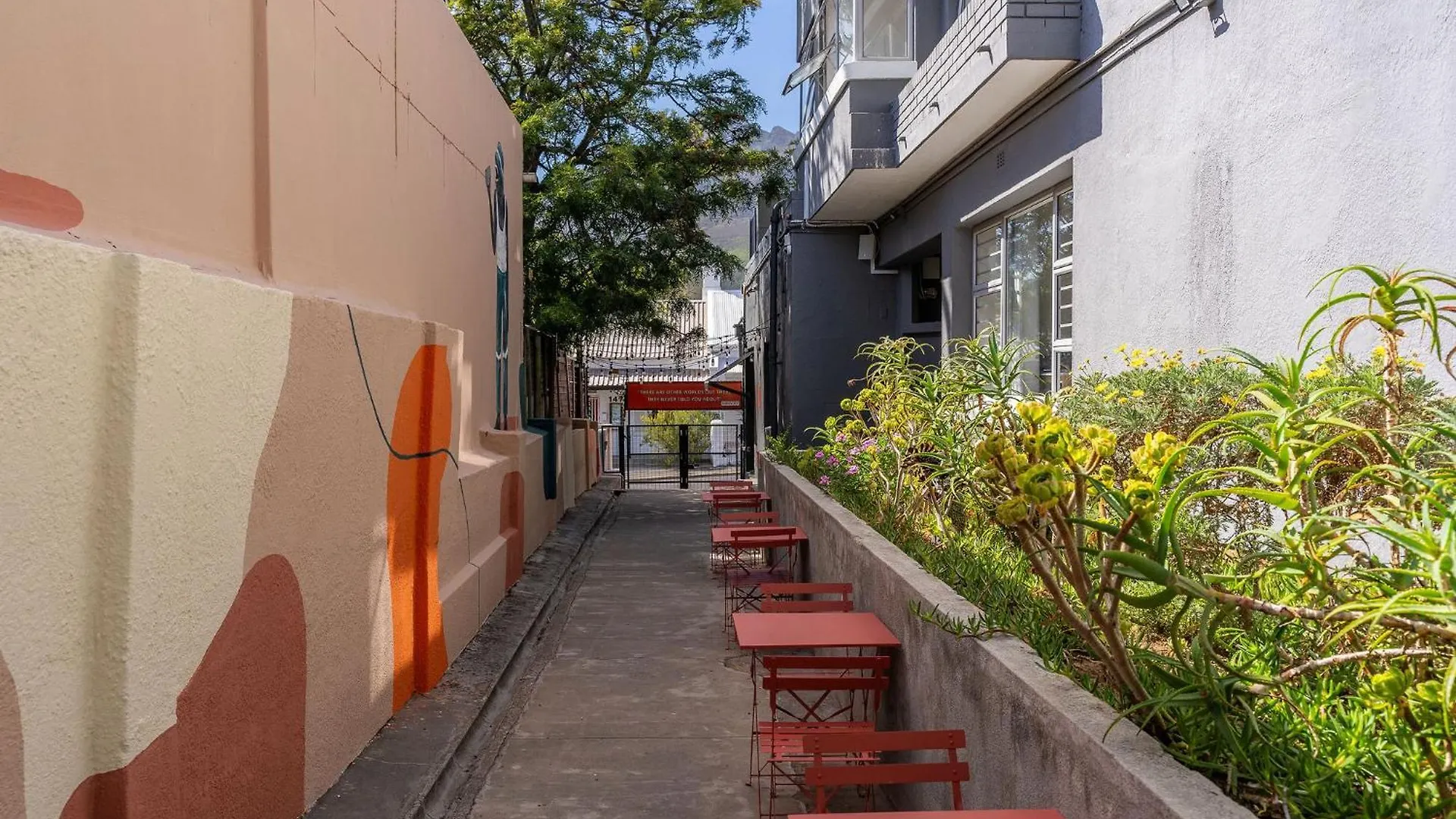 Hostel Curiocity Kloof Street Cape Town