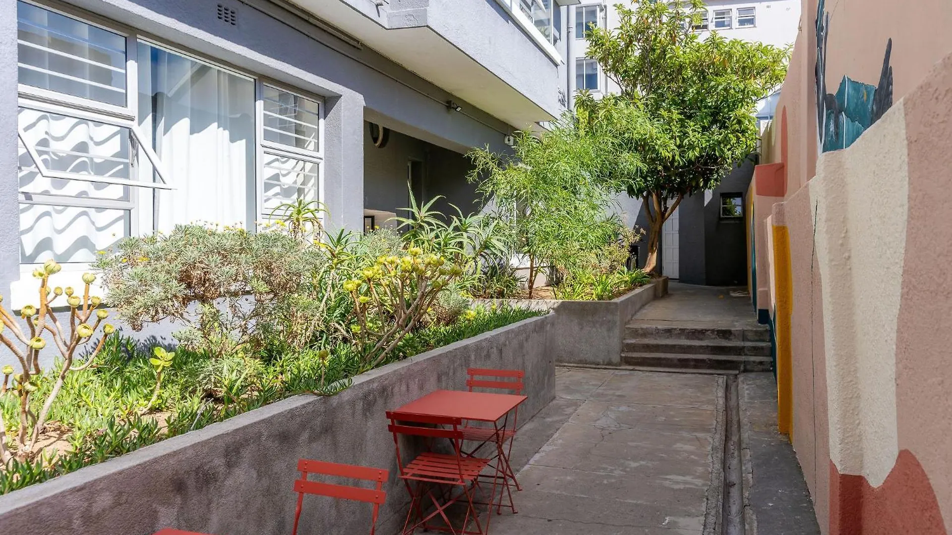 Curiocity Kloof Street Cape Town South Africa