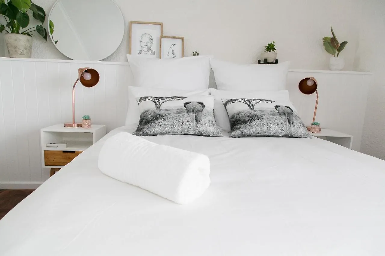 Curiocity Kloof Street Cape Town Hostel